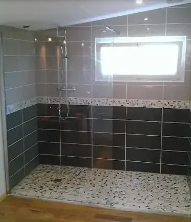 Plaquiste Haute-Goulaine-1