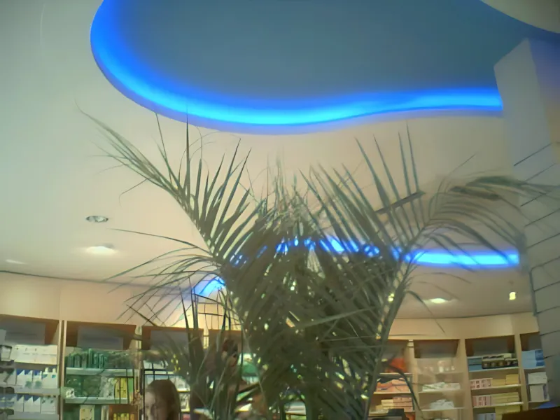 plaquiste haute goulaine